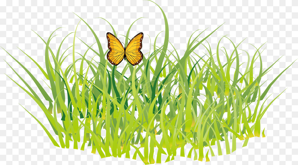 Butterfly Grass Gis Golf Clipart, Plant, Animal, Insect, Invertebrate Free Png Download