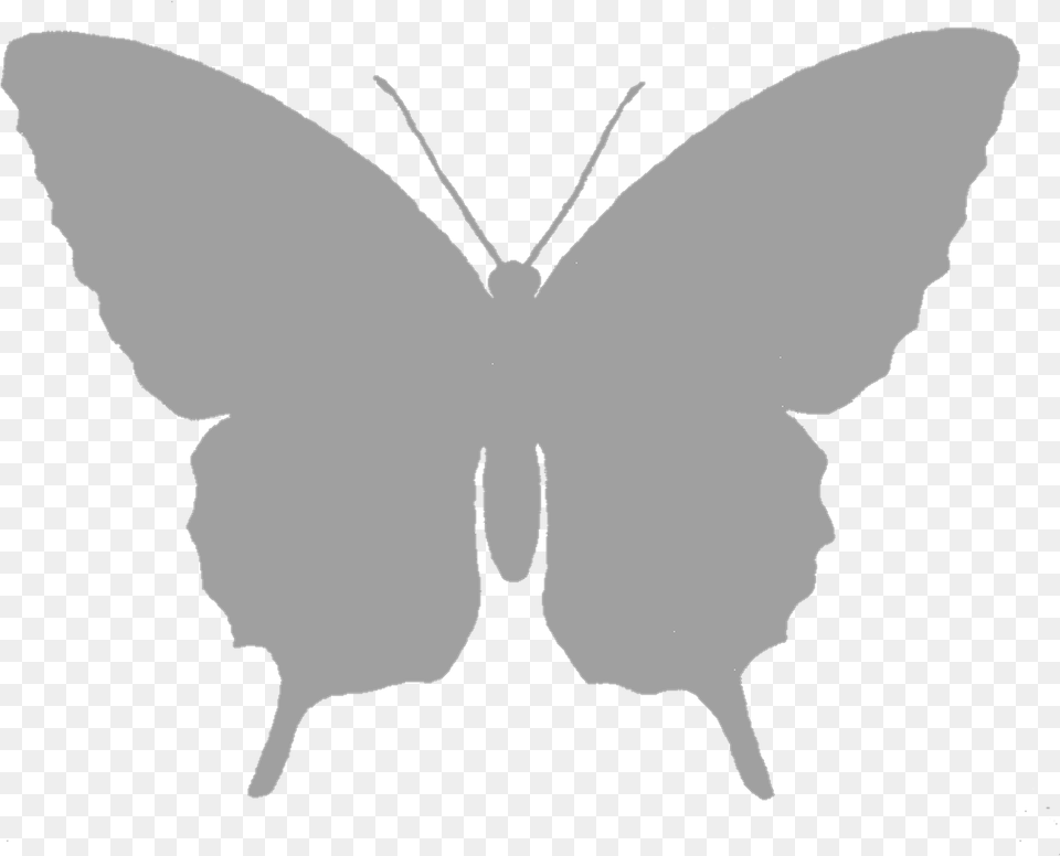 Butterfly Grayscale Silhouette Download, Stencil, Animal, Insect, Invertebrate Png Image