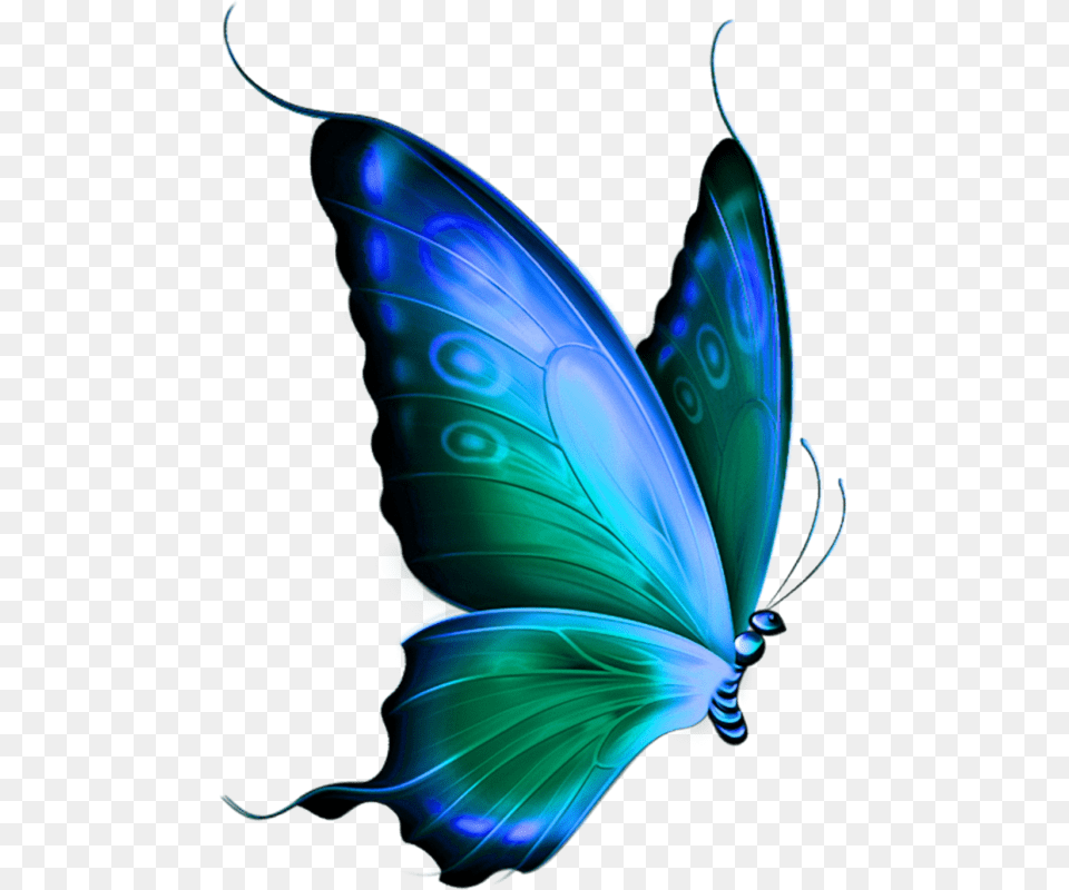 Butterfly Hd, Accessories, Animal, Insect, Invertebrate Png