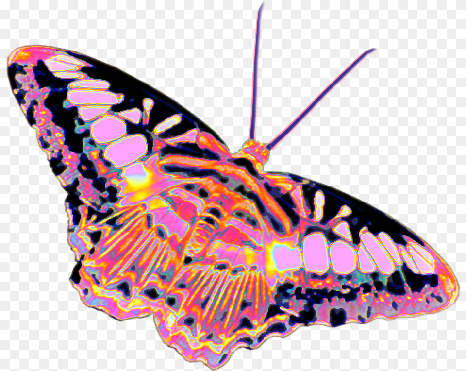 Butterfly Holo Holographic Colorful Rainbow Pastel Moth, Animal, Insect, Invertebrate Png