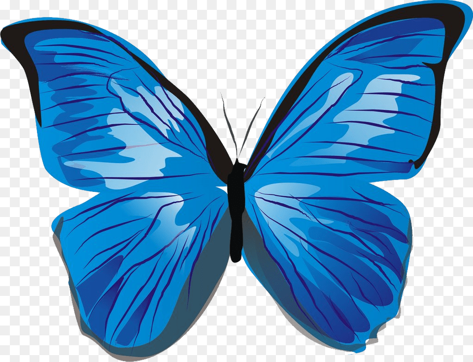 Butterfly Image Picture Download, Animal, Insect, Invertebrate, Person Free Png