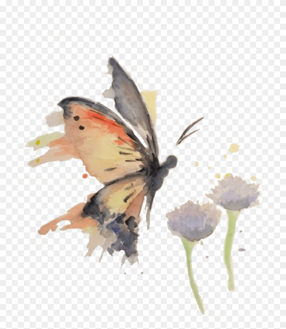 Butterfly Image Watercolor Paint, Art, Painting, Animal, Bird Free Png