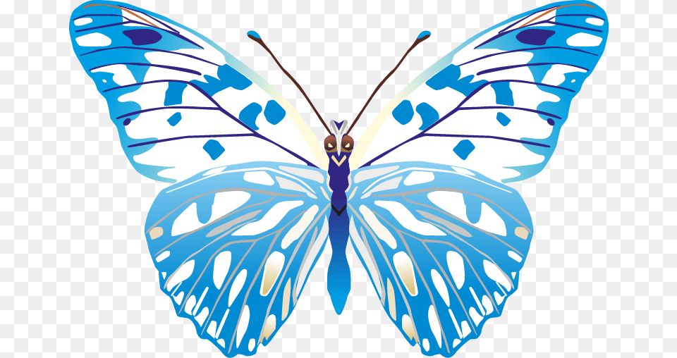 Butterfly Images Butterfly Vector Images, Animal, Insect, Invertebrate, Person Png