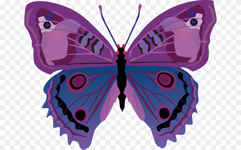 Butterfly Images Cartoon Butterflies, Purple, Animal, Insect, Invertebrate Free Transparent Png