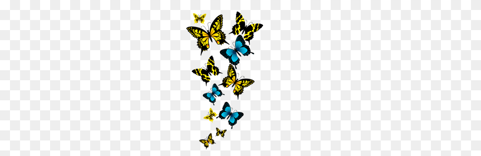 Butterfly Images Clipart Transparent Butterfly, Art, Animal, Insect, Invertebrate Png Image