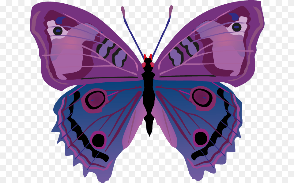 Butterfly Images Download Vector Cartoon Butterflies, Animal, Insect, Invertebrate, Person Free Png