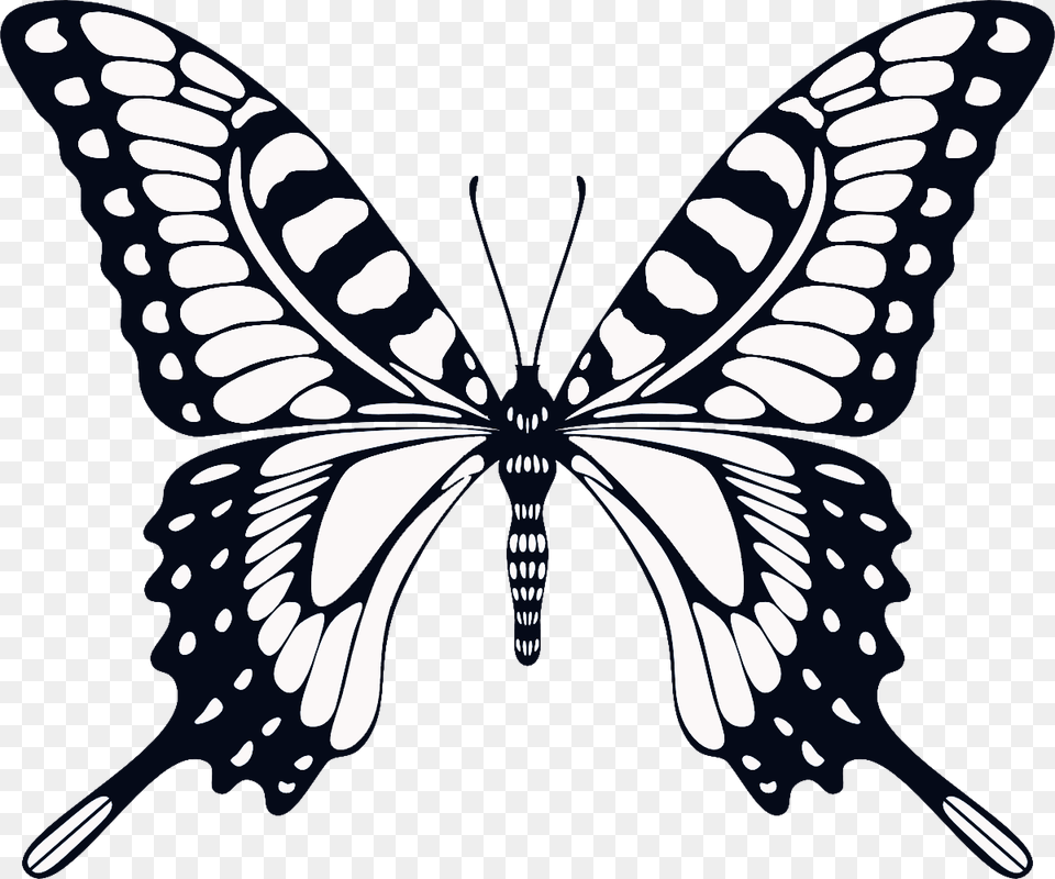 Butterfly Images Hd, Stencil, Art, Drawing, Animal Free Png