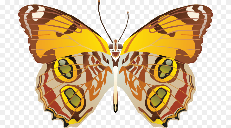 Butterfly Images Portable Network Graphics, Animal, Insect, Invertebrate, Moth Png