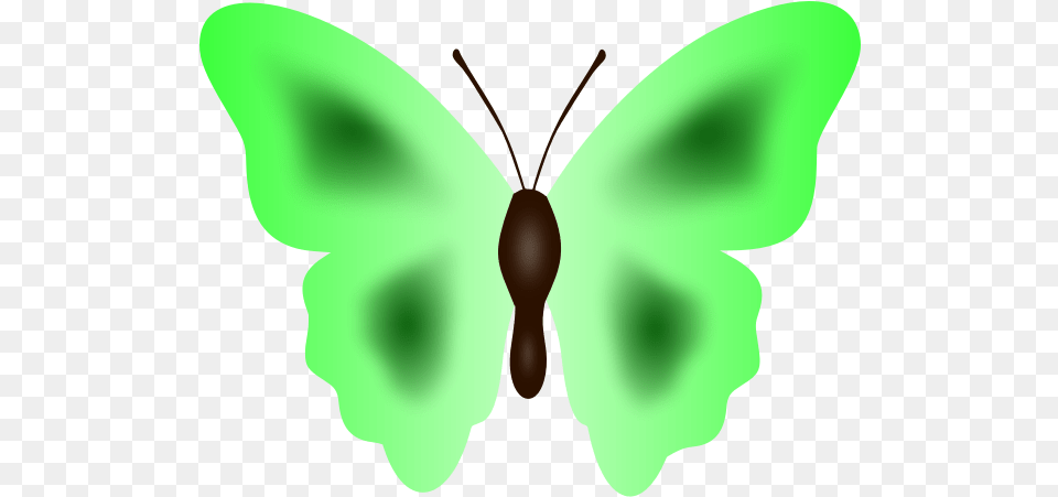 Butterfly In Green Color Butterfly, Animal, Insect, Invertebrate, Person Png