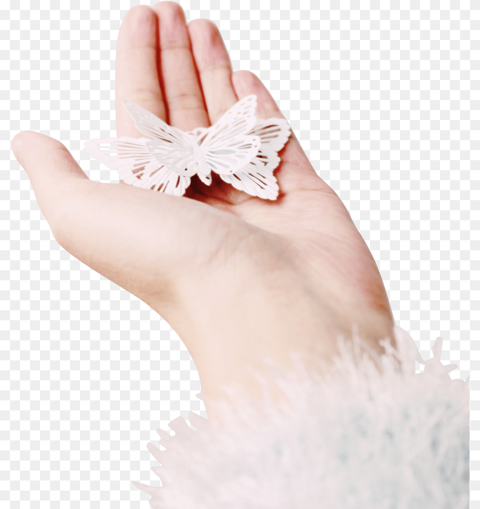 Butterfly In Hand Image Butterfly In Hand, Body Part, Finger, Person, Wrist Png