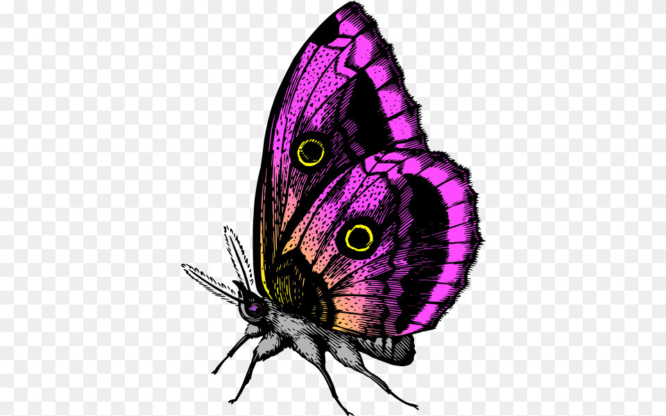 Butterfly In Purple Colors You Give Me Butterflies, Person, Animal, Insect, Invertebrate Free Png Download