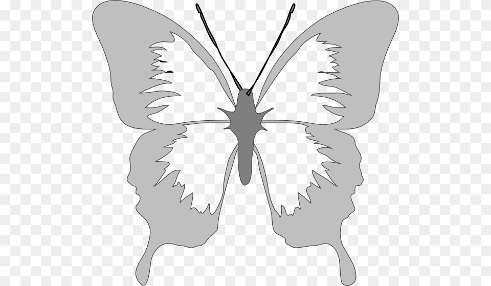 Butterfly In Silver Svg Clip Arts Butterfly Clip Art, Stencil, Drawing, Baby, Person Free Transparent Png