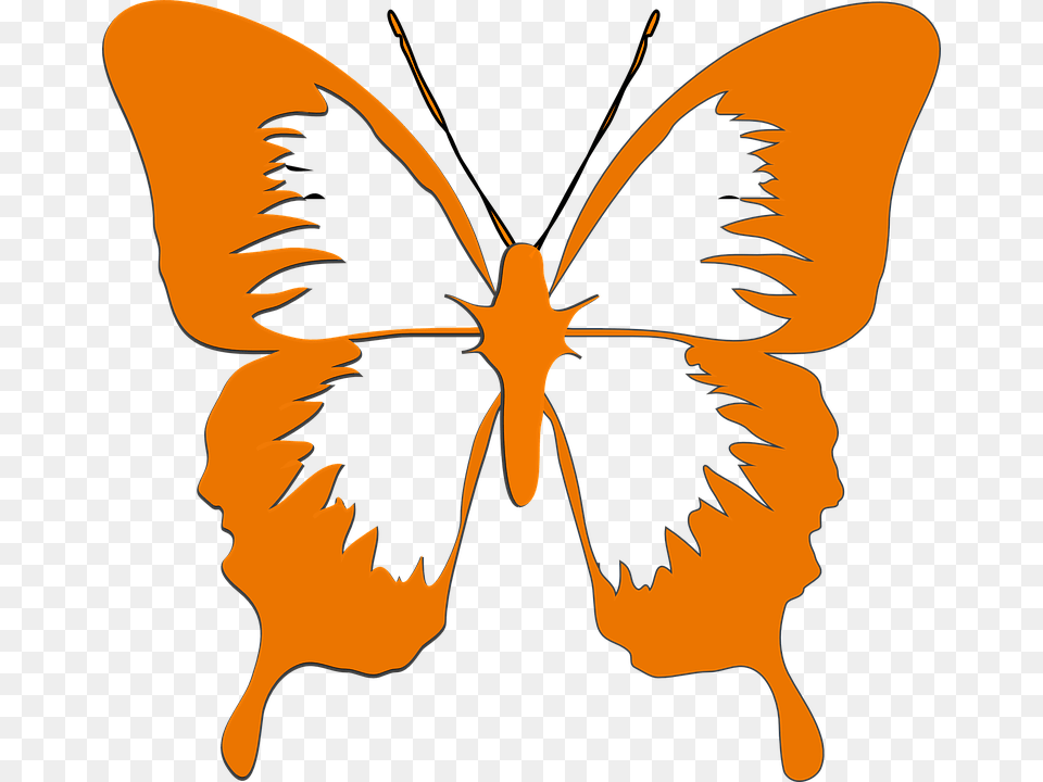 Butterfly Insect Animal Orange Blue, Person, Adult, Female, Woman Free Transparent Png