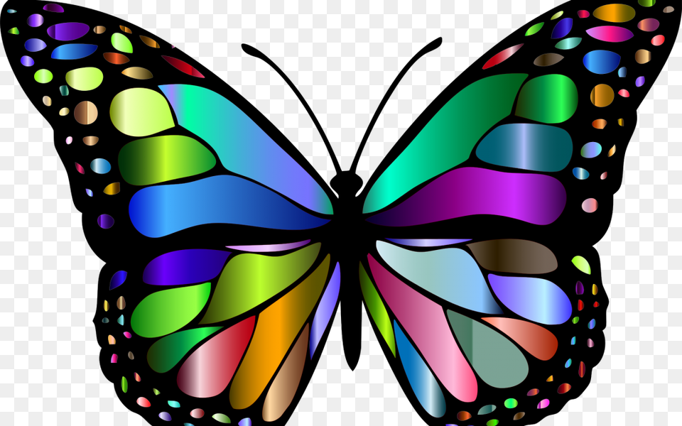Butterfly Insect Chromatic Animal Colorful Flying Butterfly Pictures Of Insects, Art, Graphics, Invertebrate Free Transparent Png