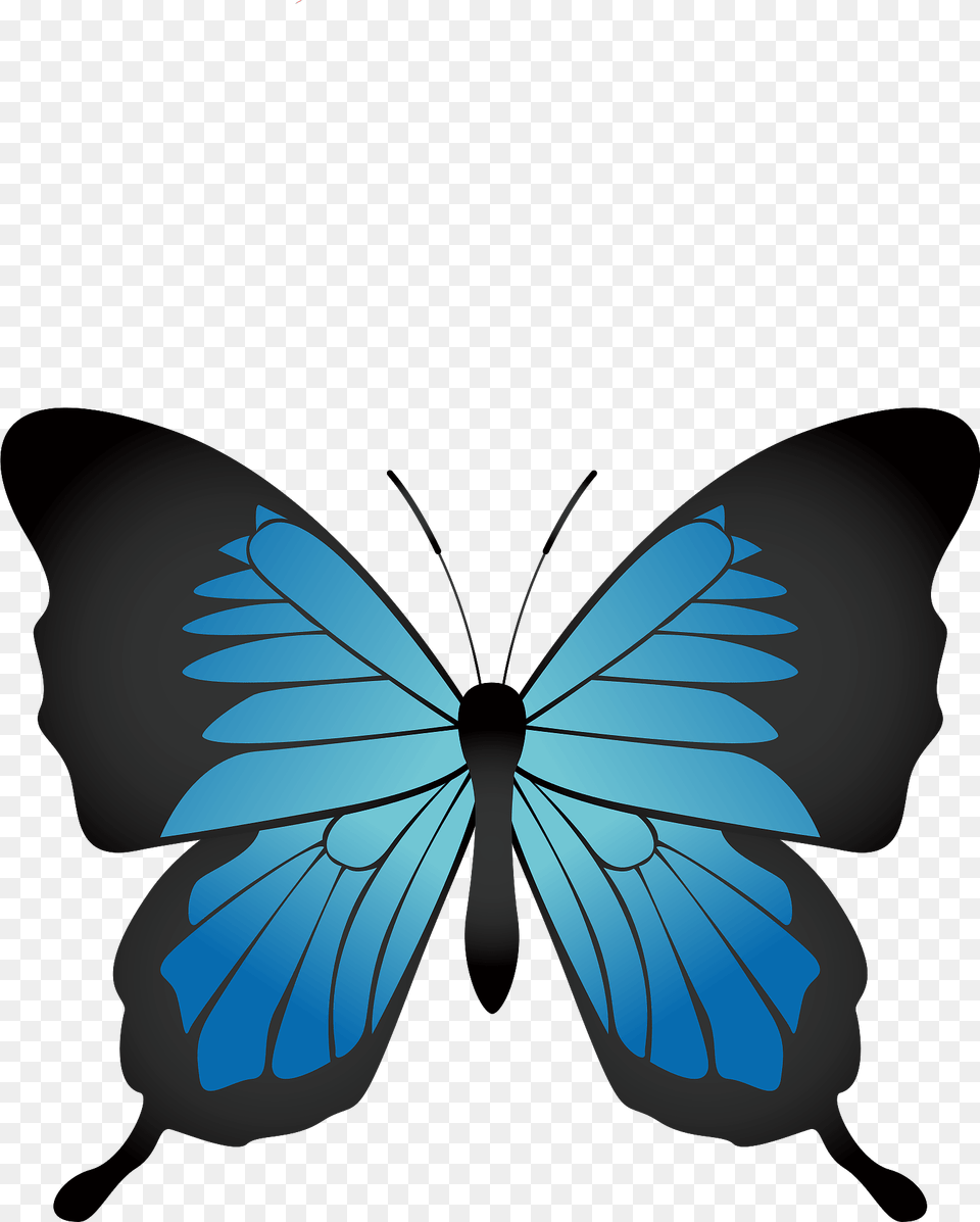 Butterfly Insect Clipart, Animal, Invertebrate Png