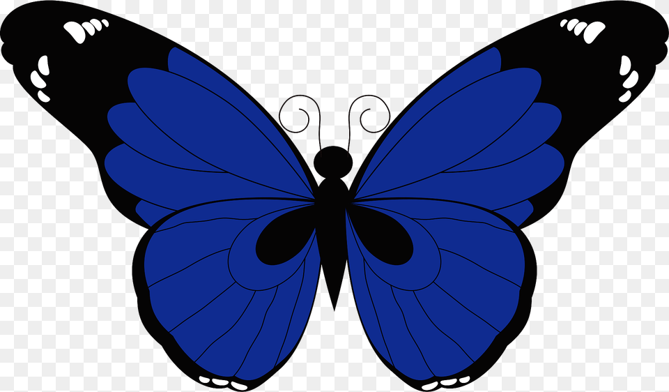 Butterfly Insect Clipart, Animal, Invertebrate Png