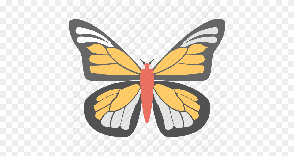 Butterfly Insect Monarch Butterfly Spring Sign Summer Icon, Animal, Invertebrate Free Transparent Png