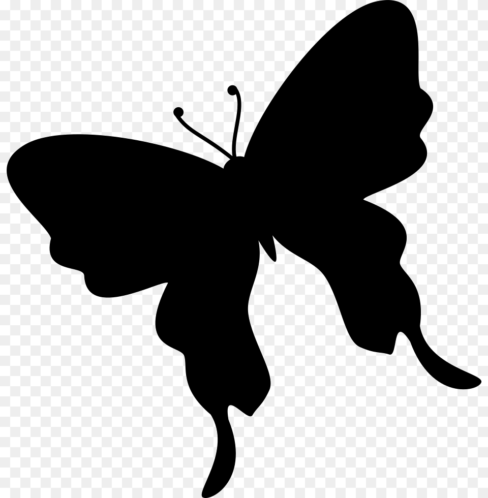 Butterfly Insect Silhouette Moth Silueta Mariposa Sin Fondo, Stencil, Person Png