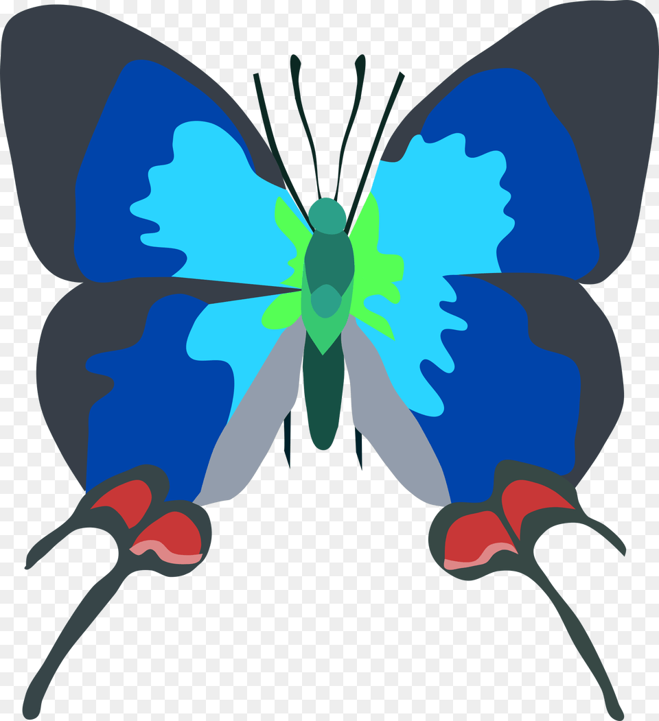 Butterfly Is Very Rare, Person, Baby, Face, Head Png Image