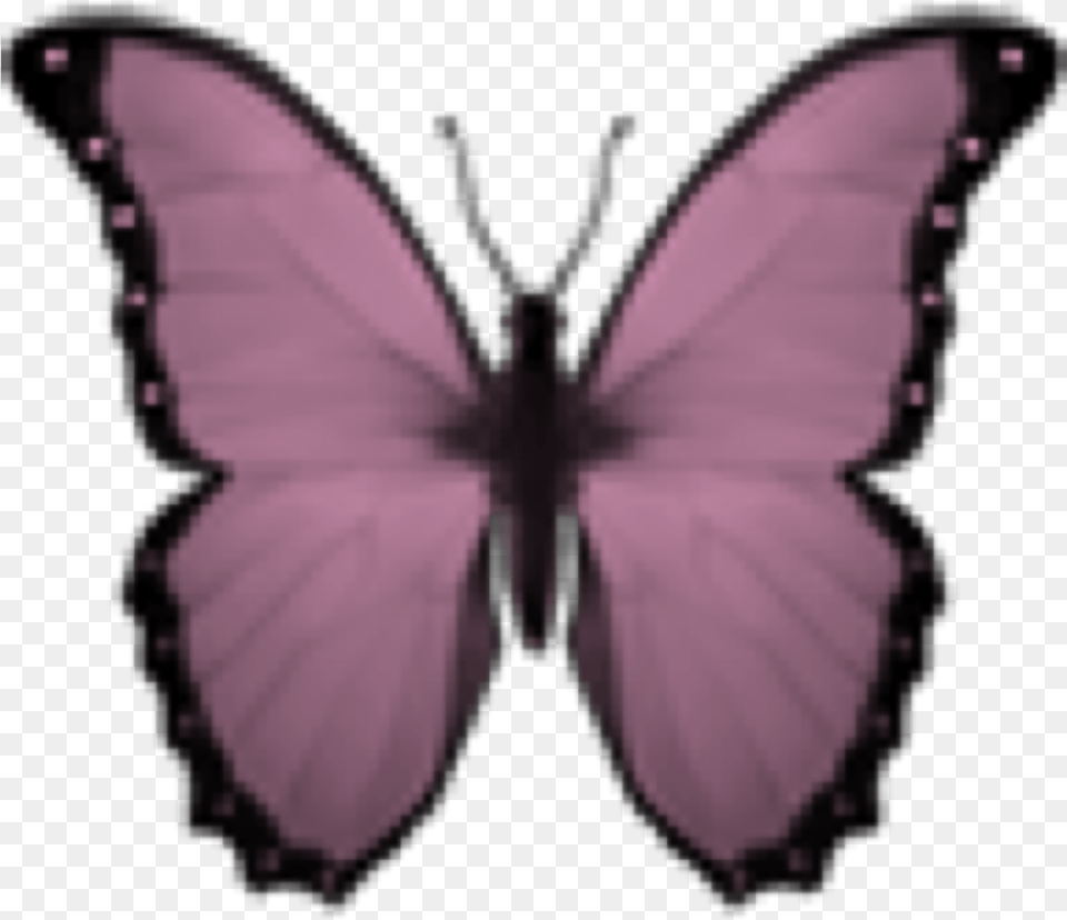 Butterfly Kelebek Emoji Smiley Kelebekler Pink Iphone Butterfly Emoji, Animal, Insect, Invertebrate, Person Free Png Download