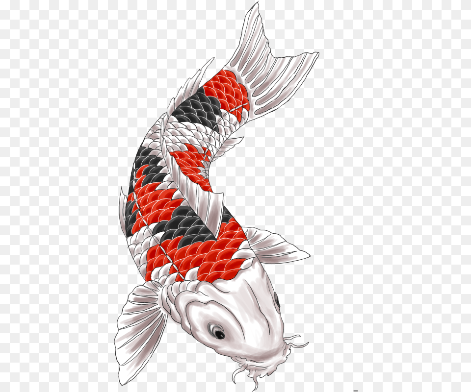 Butterfly Koi Artist Sleeve Tattoo Hd Image Clipart Koi Carp Tattoo Design, Animal, Fish, Sea Life, Shark Free Png