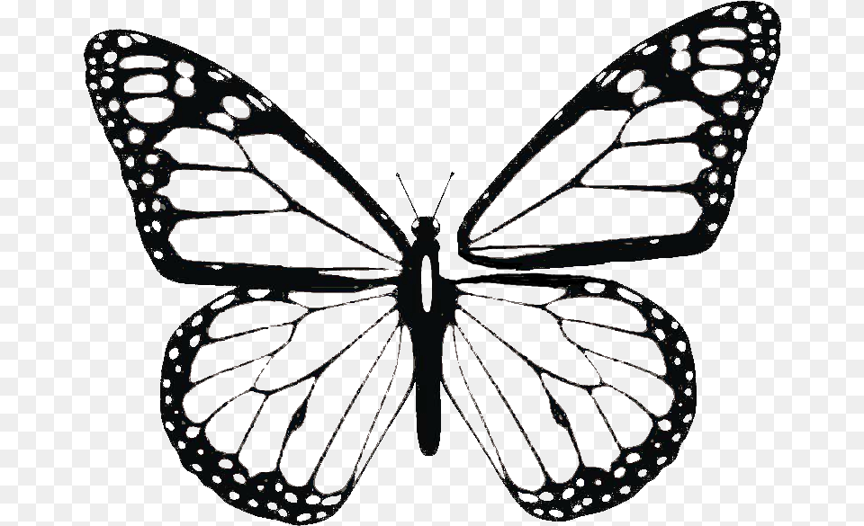 Butterfly Library Transverse Poetry About Being Transgender, Appliance, Ceiling Fan, Device, Electrical Device Free Transparent Png