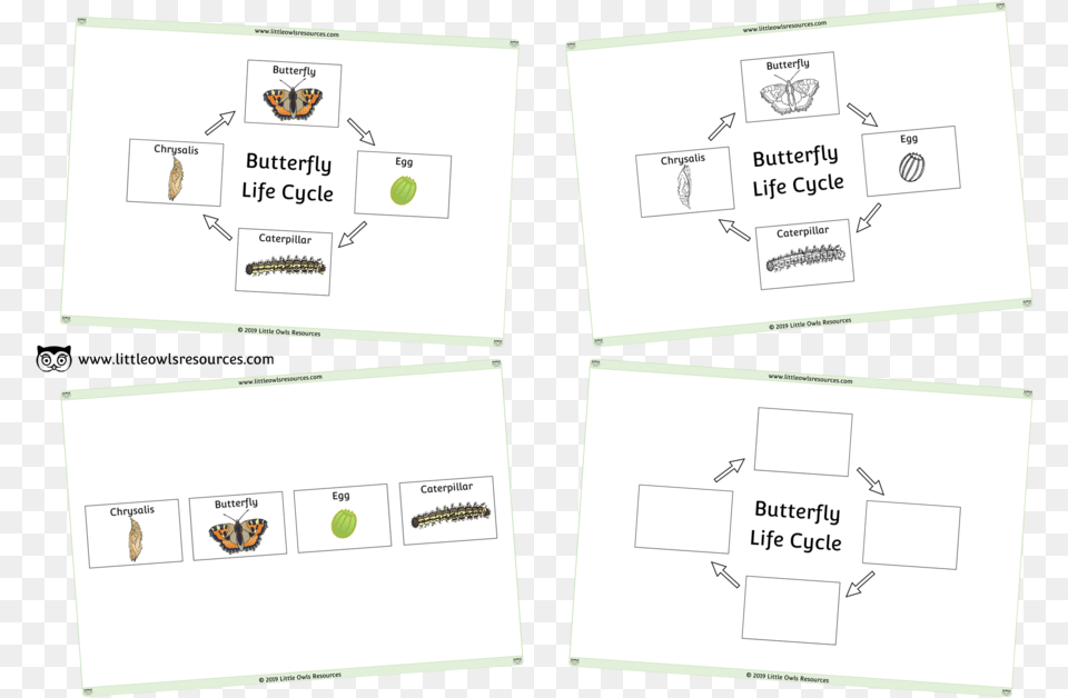 Butterfly Life Cycle Poster And Activities Paper Free Transparent Png
