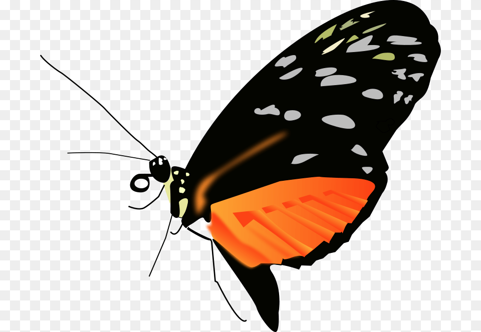 Butterfly Light, Animal, Insect, Invertebrate, Monarch Free Transparent Png