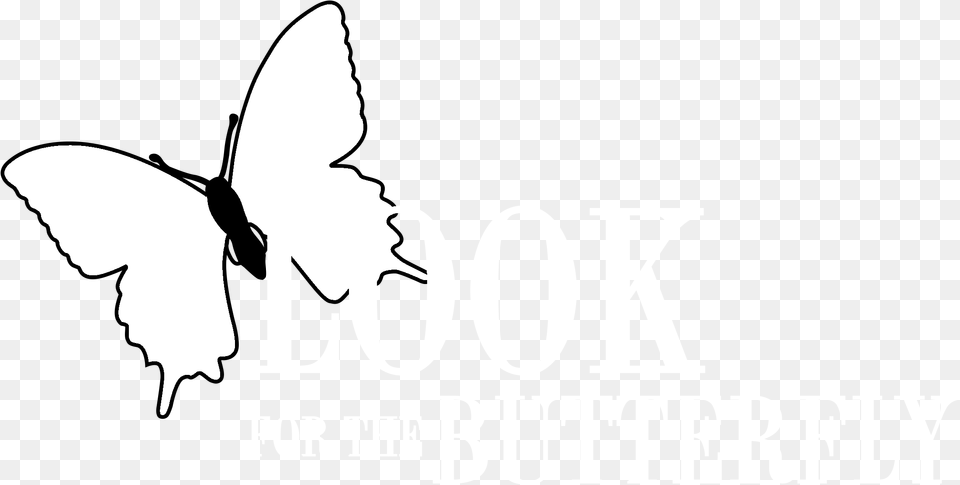Butterfly Logo Transparent Drawing, Stencil, Animal, Bird, Flying Free Png Download