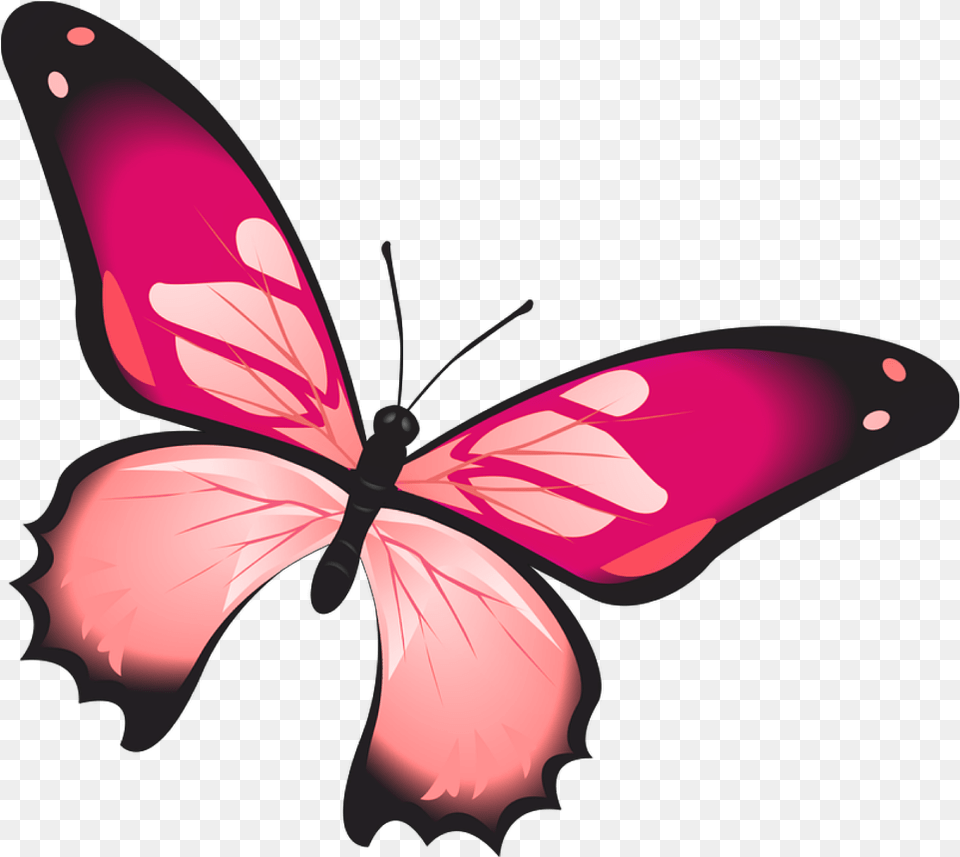 Butterfly Mariposa Day Diurna Pink Rosada Rosa Mariposas Vector En, Flower, Petal, Plant, Appliance Png