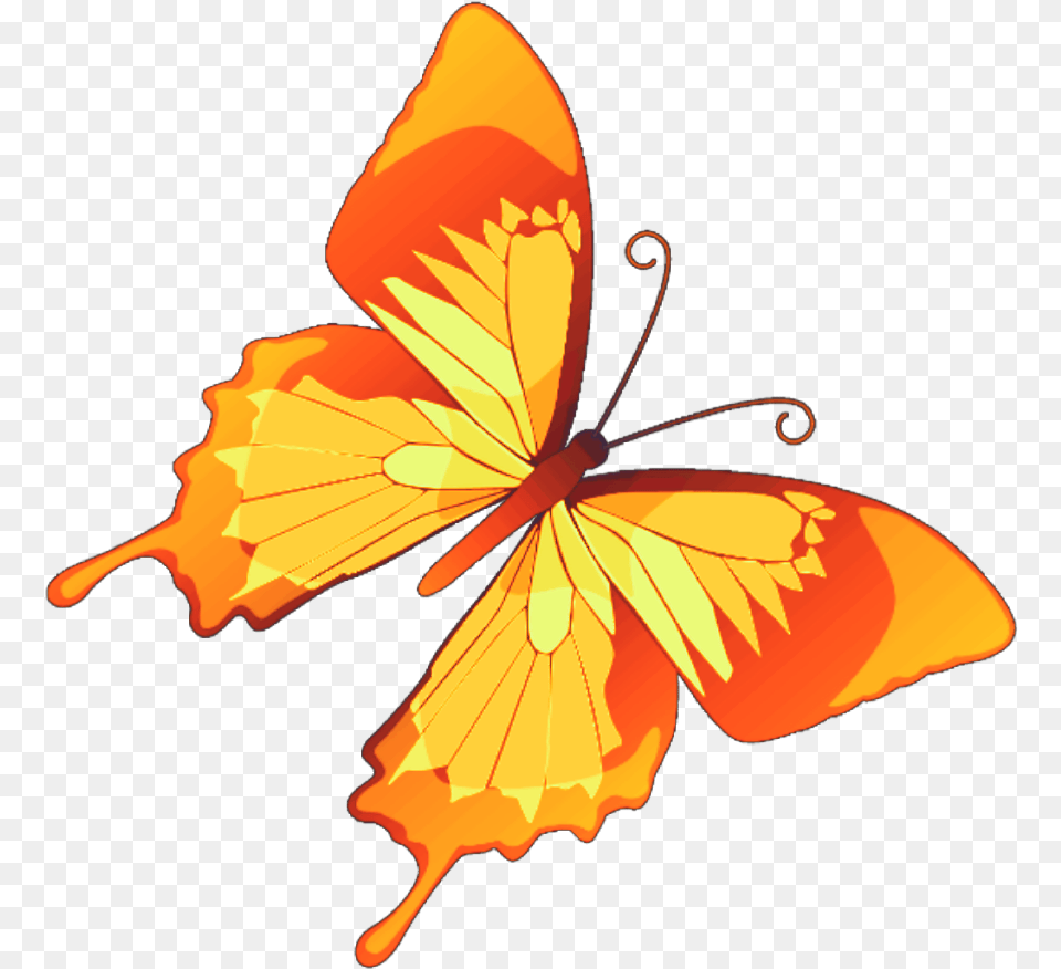 Butterfly Mariposa Diurna Day Diurnal Spring Butterfly Clipart Color, Flower, Leaf, Petal, Plant Png