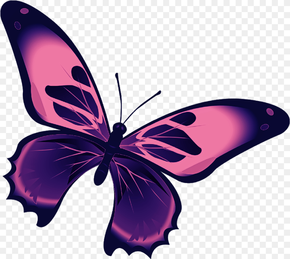 Butterfly Mariposa Diurna Day Diurnal Spring Kupu Kupu Hitam Putih, Purple, Pattern, Graphics, Art Png