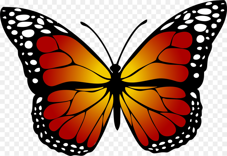 Butterfly Monarch Abstract Free Picture Monarch Butterfly Clipart, Animal, Insect, Invertebrate, Fish Png Image