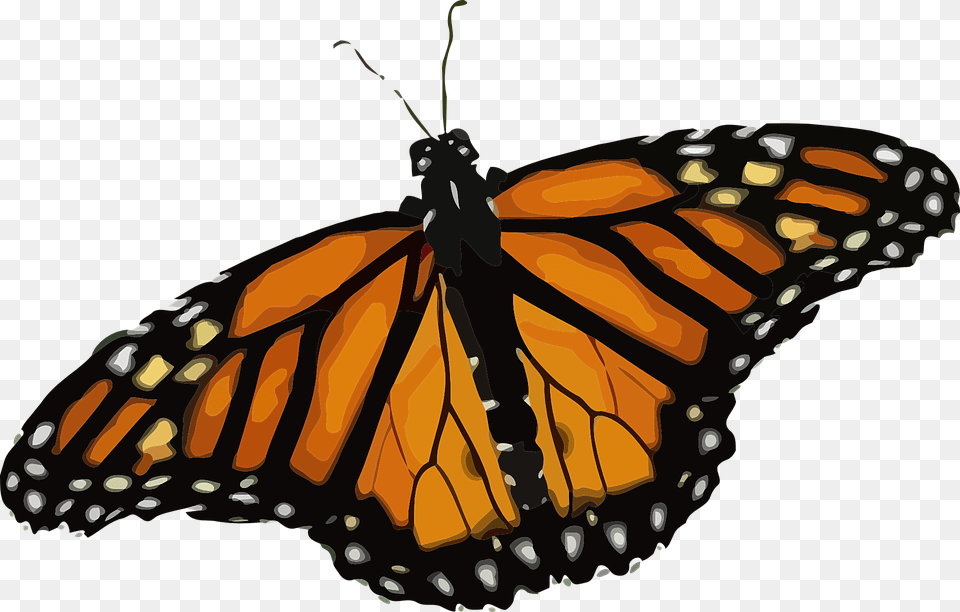 Butterfly Monarch Butterfly Danaus Plexippus Monarch Butterfly, Animal, Insect, Invertebrate Png Image