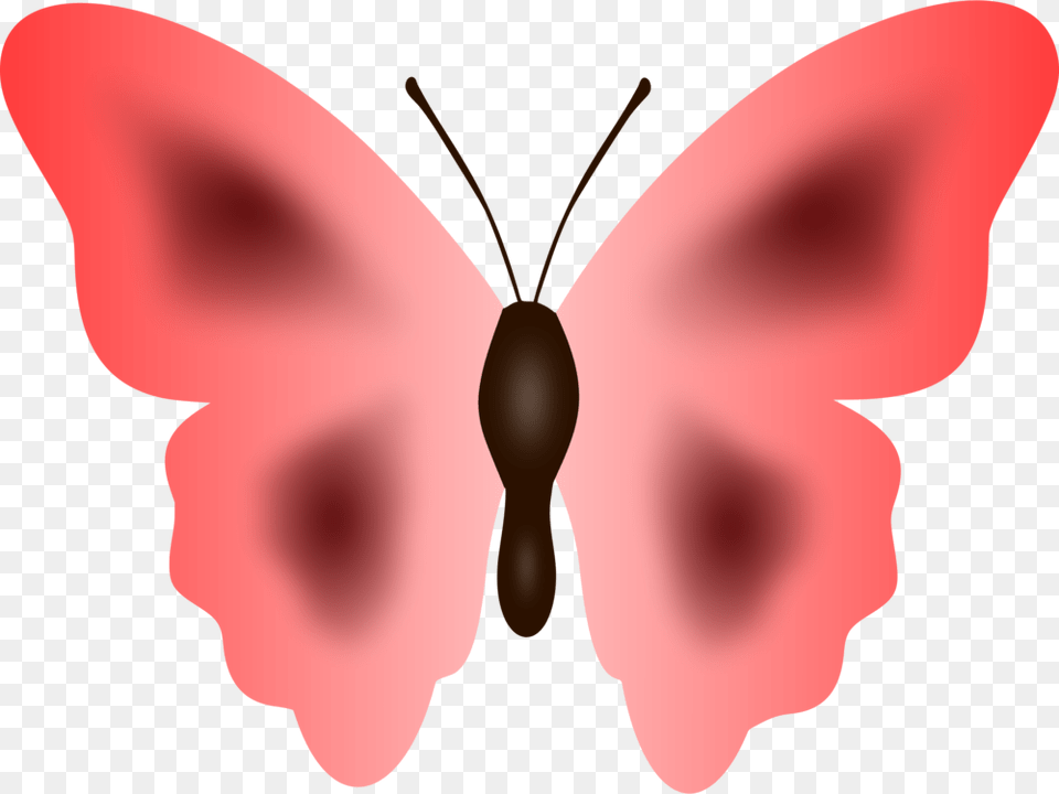 Butterfly Moth Cartoon Pink Clip Art, Animal, Insect, Invertebrate, Person Png Image