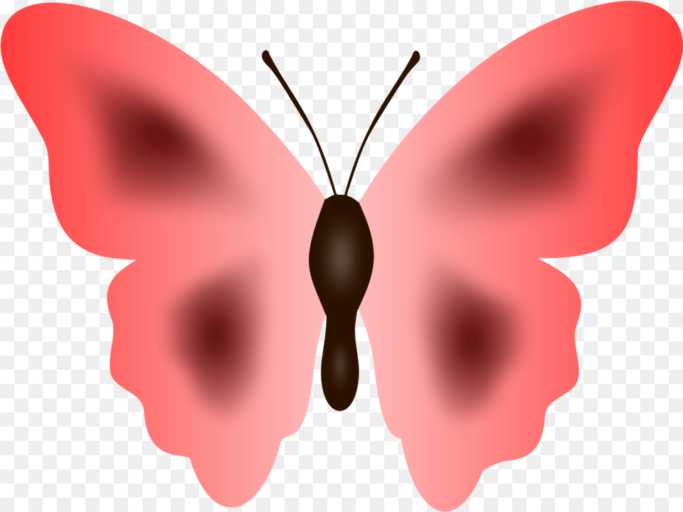 Butterfly Moth Cartoon Pink Clip Art Download Full Big Colour Butterfly, Animal, Insect, Invertebrate, Person Free Png