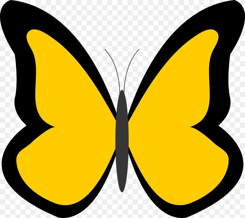Butterfly Net Clipart, Animal, Insect, Invertebrate, Fish Png Image