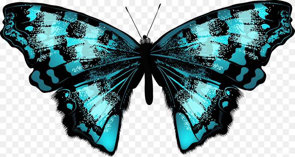 Butterfly Net Clipart Yarkie Babochki, Art, Collage, Graphics, Adult Free Png Download