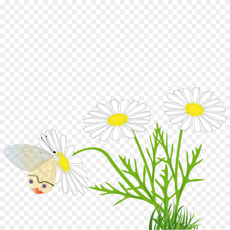 Butterfly On A Daisy Clipart, Flower, Plant, Petal Png