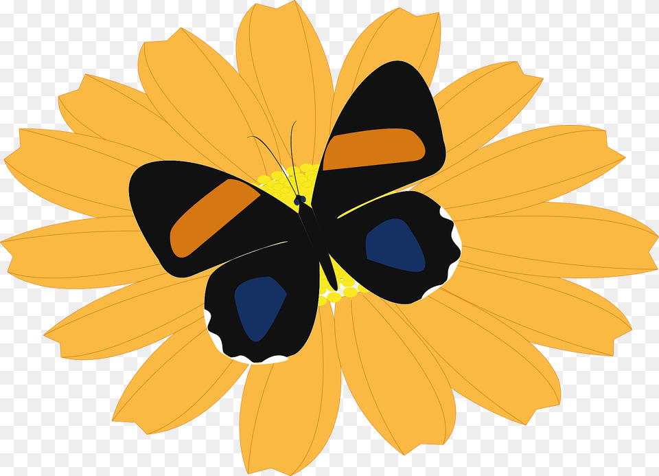 Butterfly On A Flower Clipart, Daisy, Plant, Petal, Animal Free Png Download