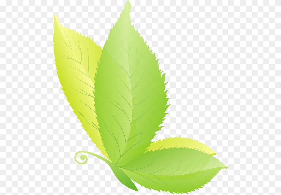 Butterfly On A Leaf Illustration, Green, Herbal, Herbs, Plant Png