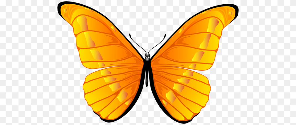 Butterfly Orange Butterfly, Animal, Invertebrate, Insect, Grass Free Png Download