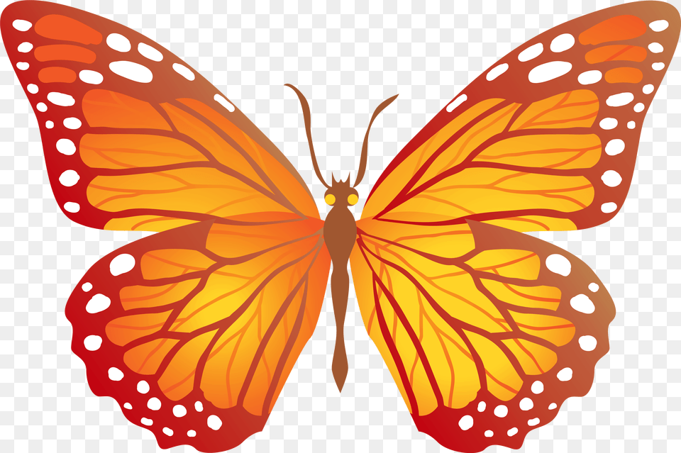 Butterfly Orange Butterfly Clipart, Animal, Insect, Invertebrate, Monarch Free Png