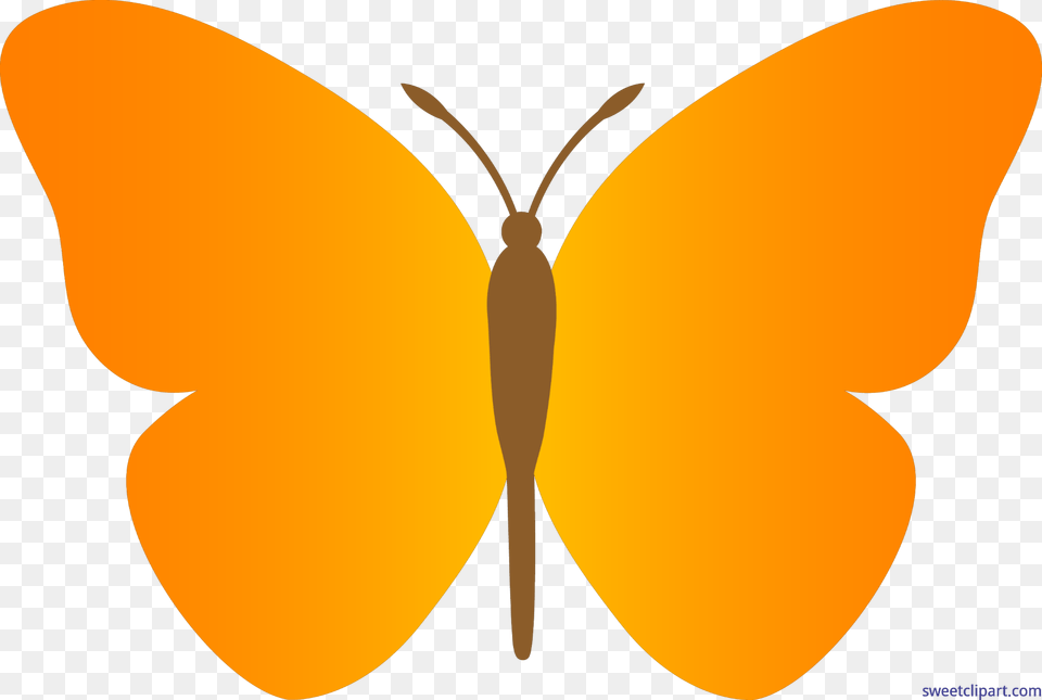 Butterfly Orange Clip Art, Animal, Insect, Invertebrate Free Png