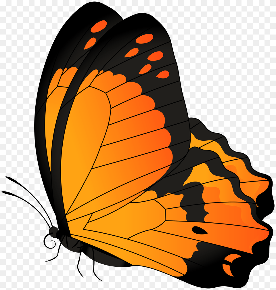 Butterfly Orange Clip Art Gallery, Animal, Insect, Invertebrate, Monarch Free Transparent Png