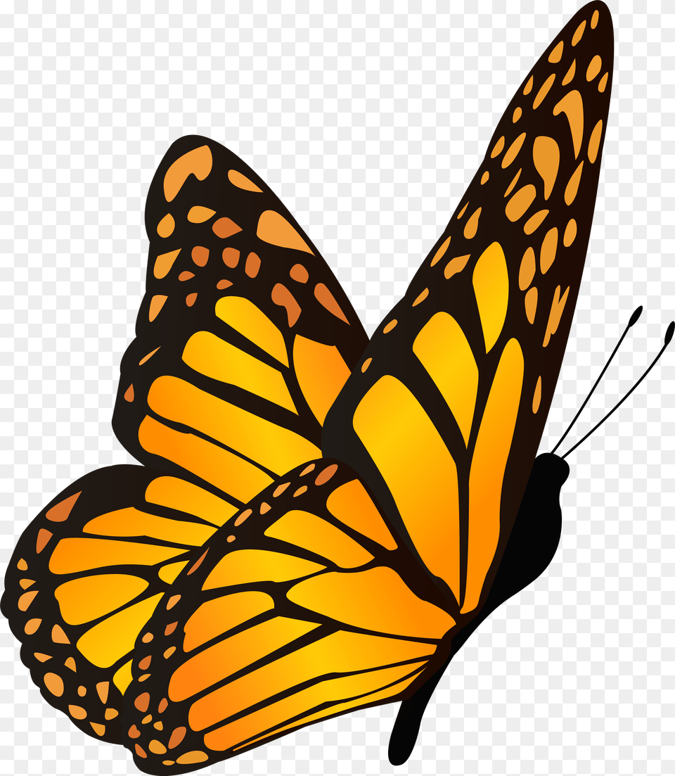 Butterfly Orange Yellow Clipart, Animal, Insect, Invertebrate, Monarch Free Png