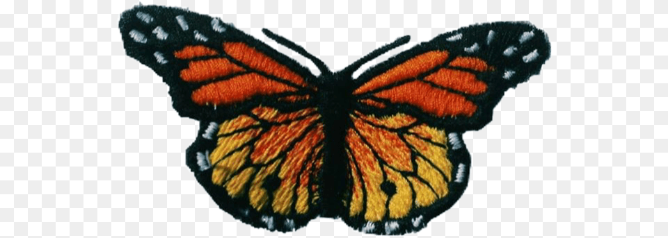 Butterfly Orangeaesthetic Freetoedit Lycaena, Animal, Insect, Invertebrate, Fish Free Transparent Png