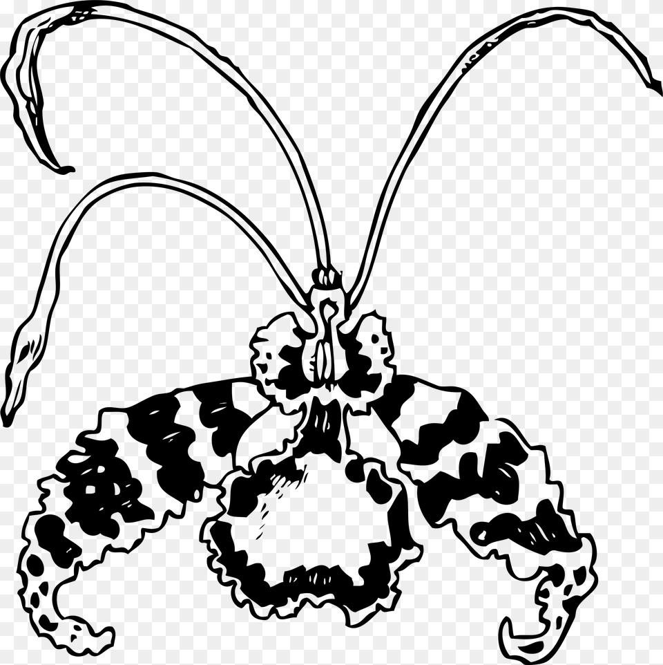 Butterfly Orchid Icons, Gray Free Png Download