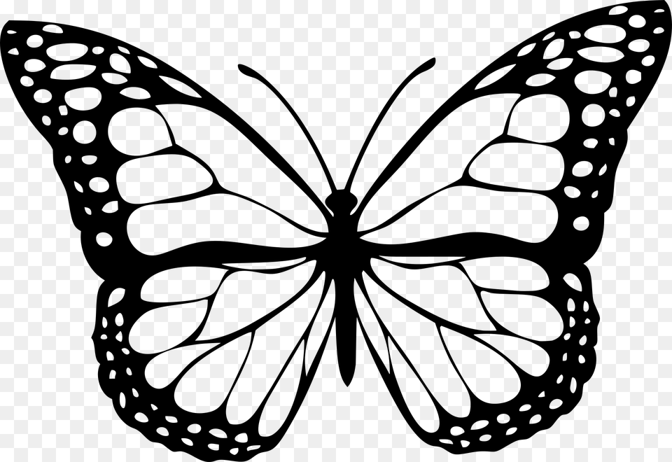 Butterfly Outline Black And White Butterfly, Gray Png Image