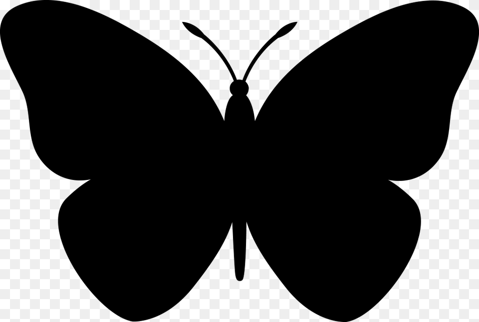 Butterfly Outline Clipart Look, Gray Png Image